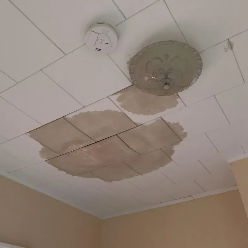 Ceiling Water Damage Repair in Baxter Springs, KS