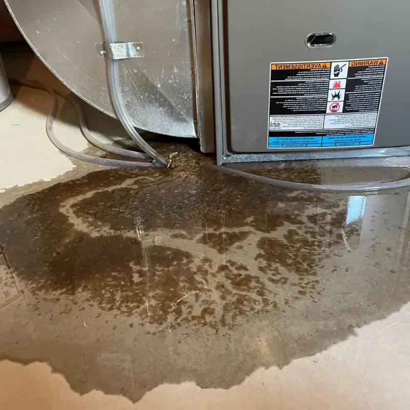 Pipe Burst and Leak Restoration in Baxter Springs, KS