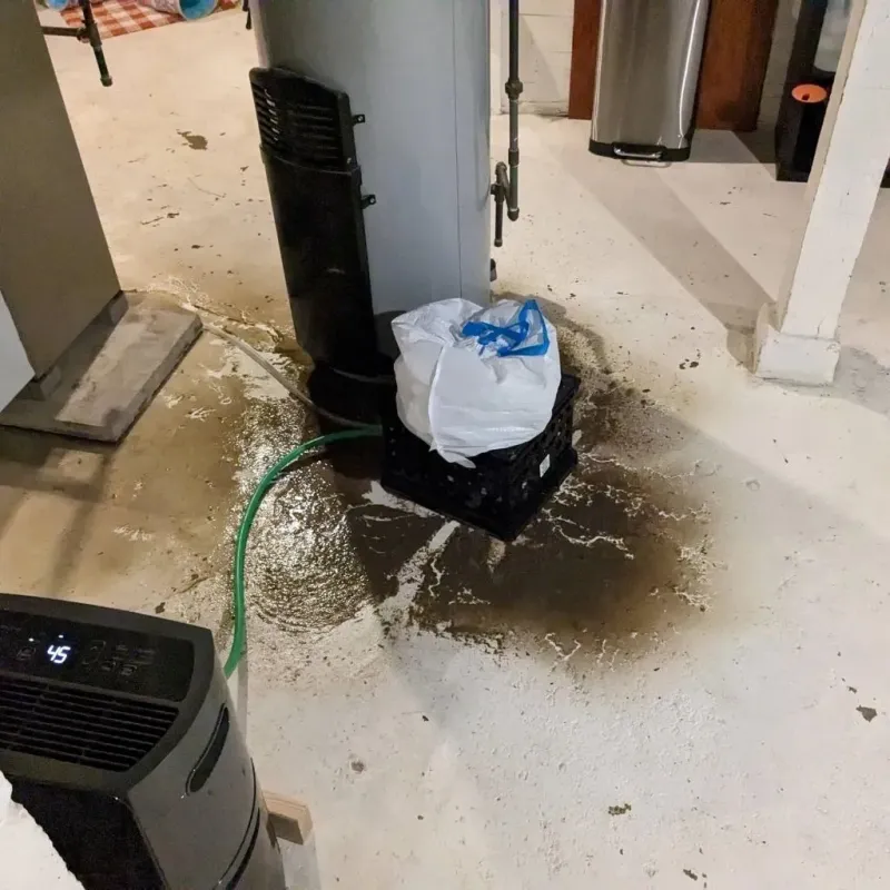 Sewage Backup Cleanup Service in Baxter Springs, KS